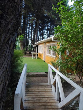 Mi refugio arbolado